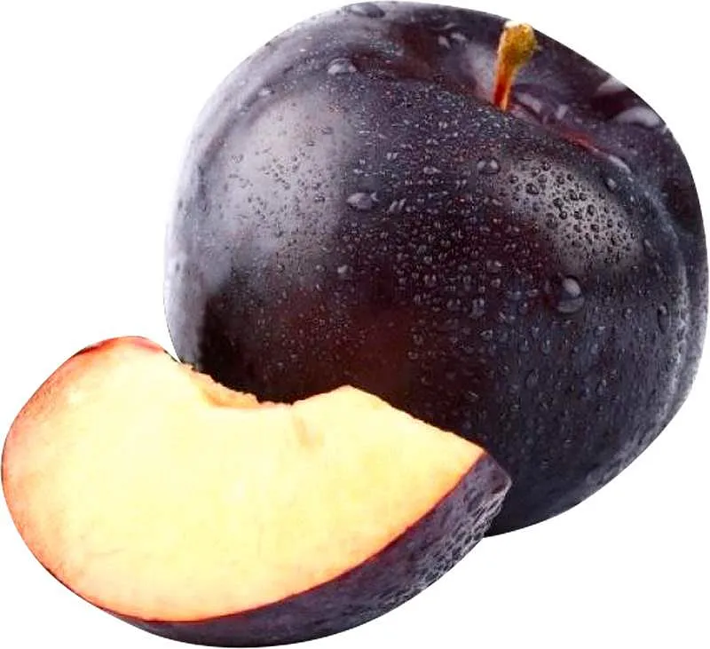 Bluma modrá