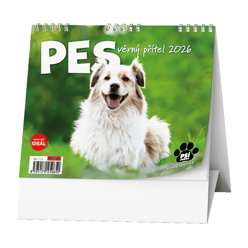 Kalendář stolní MINI - Pes, věrný přítel / BSL7