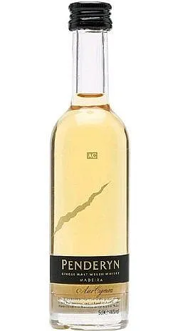 MINI Penderyn holá lahev 46%0.05l