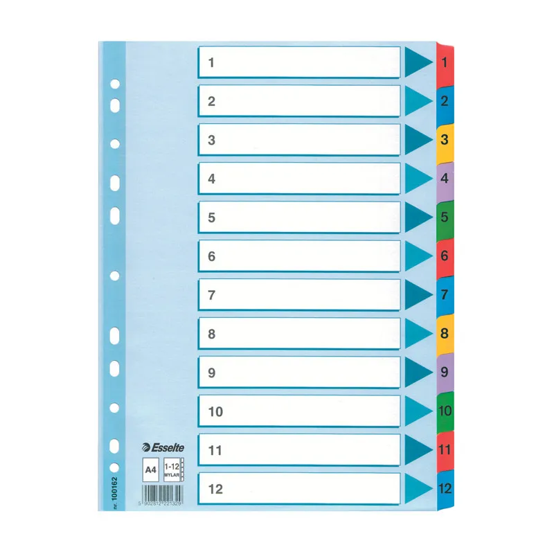 Rozdružovač A4 kartonový Esselte Mylar - barevný / 1 - 12